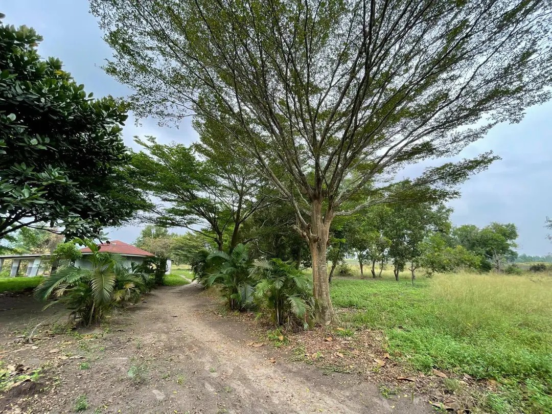 scaled_1006557853 Parcelle-Terrain à Vendre – N’Sele, Kinshasa