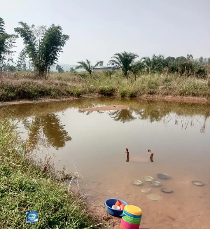 Parcelle-Terrain à Vendre – N’Sele, Kinshasa