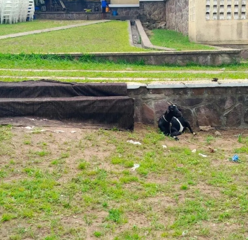 Parcelle-Terrain à Vendre – Ngaliema, Kinshasa