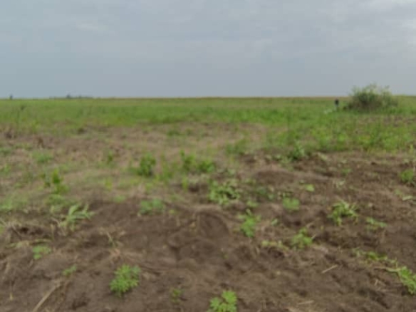 Parcelle-terrain à vendre – maluku, kinshasa