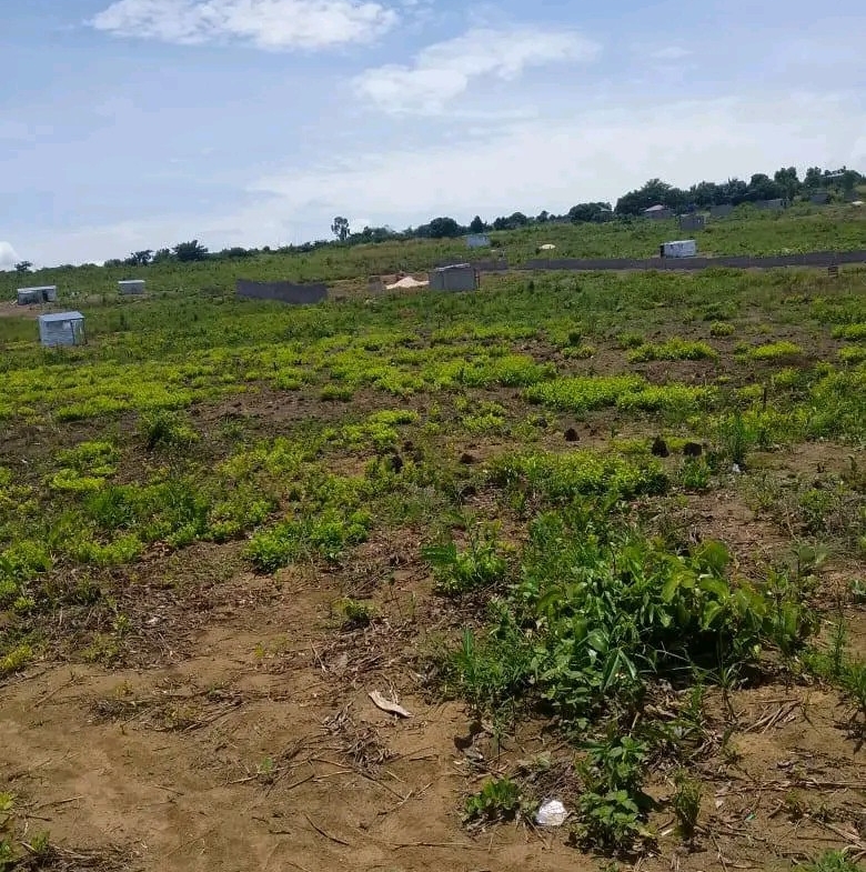 Parcelle-Terrain à Vendre – N’Sele, Kinshasa