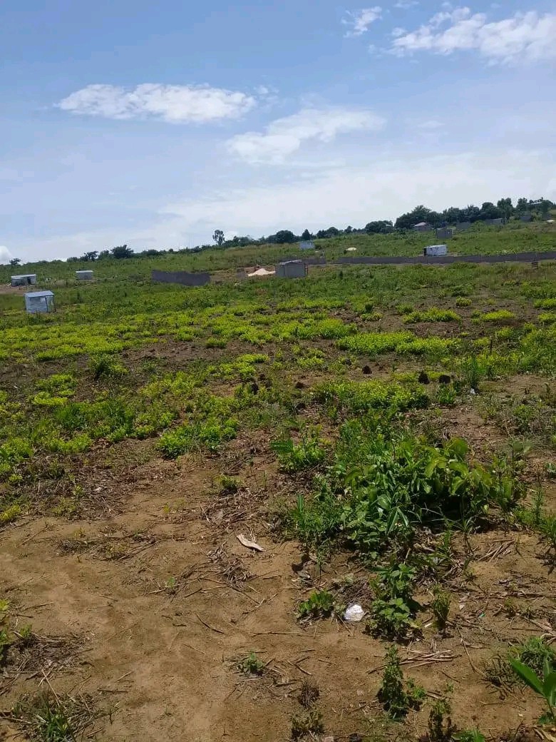 scaled_1006561211 Parcelle-Terrain à Vendre – N’Sele, Kinshasa