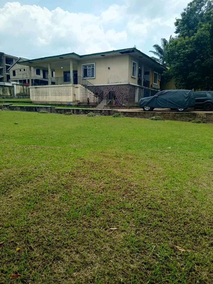 scaled_1006564845 Parcelle-Terrain à Vendre – Ngaliema, Kinshasa
