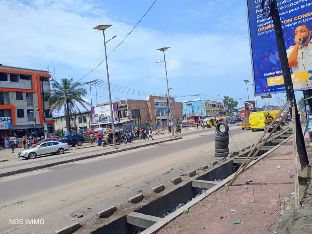 Hotel à Vendre – Lemba, Kinshasa