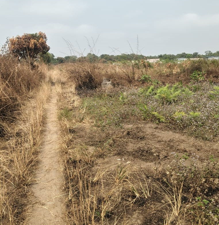 Parcelle-Terrain à Vendre – Maluku, Kinshasa