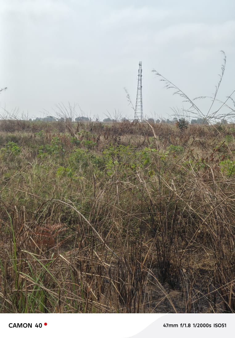 scaled_1006570387 Parcelle-Terrain à Vendre – Maluku, Kinshasa