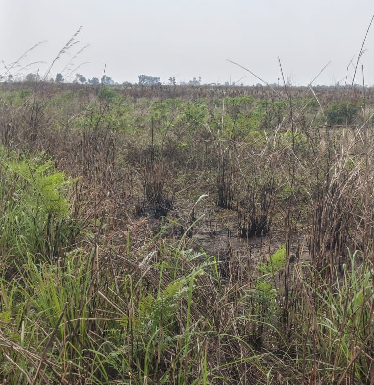 Parcelle-Terrain à Vendre – Maluku, Kinshasa