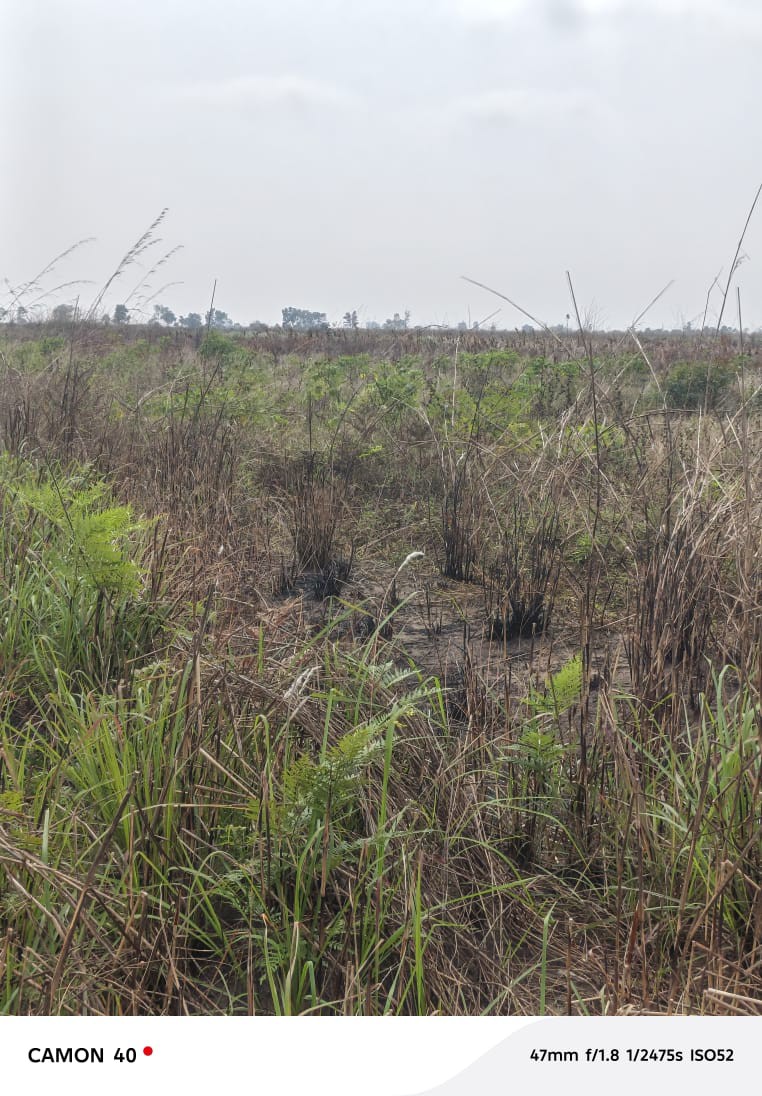 scaled_1006570390 Parcelle-Terrain à Vendre – Maluku, Kinshasa