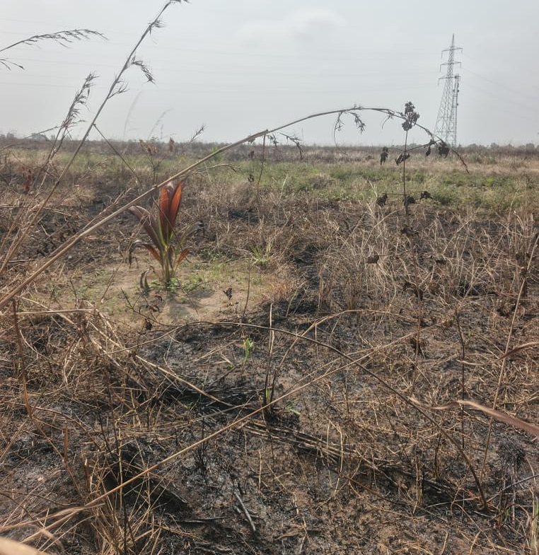 Parcelle-Terrain à Vendre – Maluku, Kinshasa