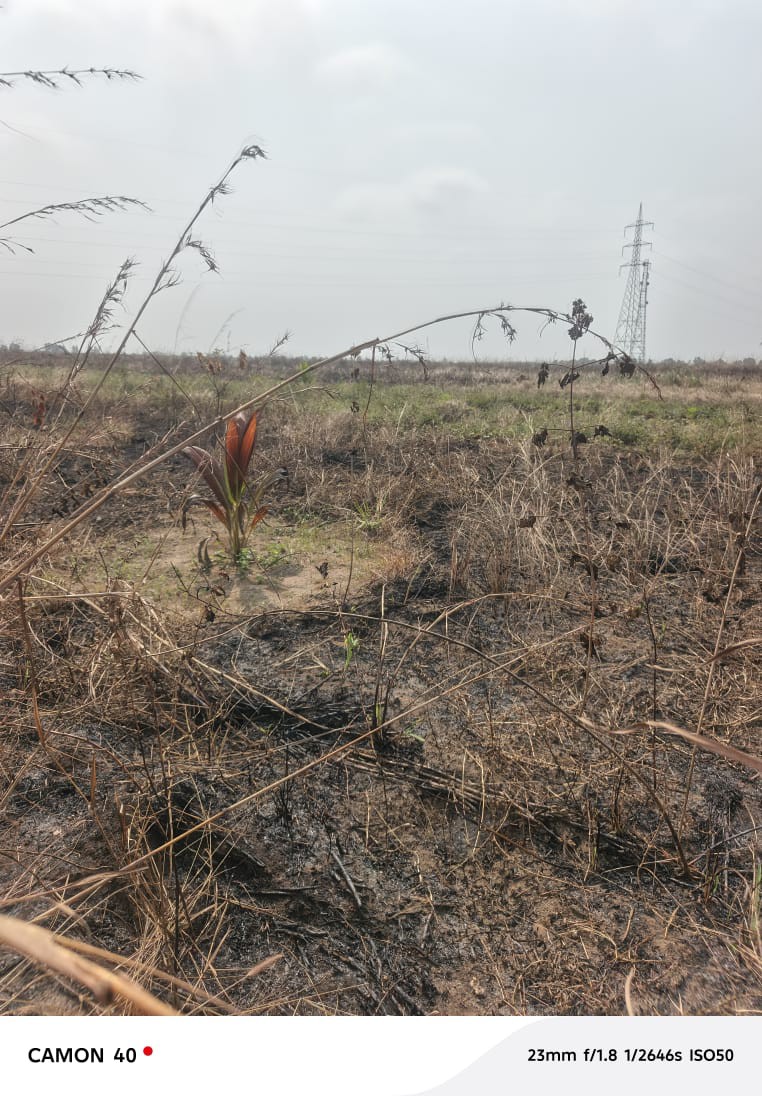 scaled_1006570399 Parcelle-Terrain à Vendre – Maluku, Kinshasa