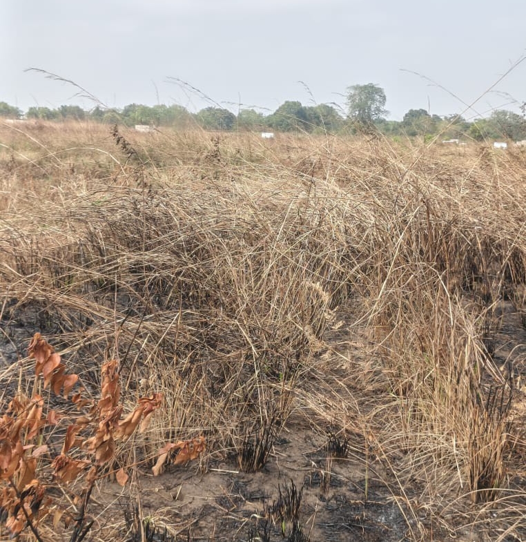 Parcelle-Terrain à Vendre – Maluku, Kinshasa