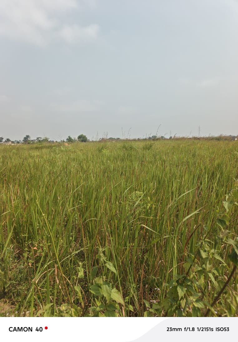 scaled_1006570420 Parcelle-Terrain à Vendre – Maluku, Kinshasa