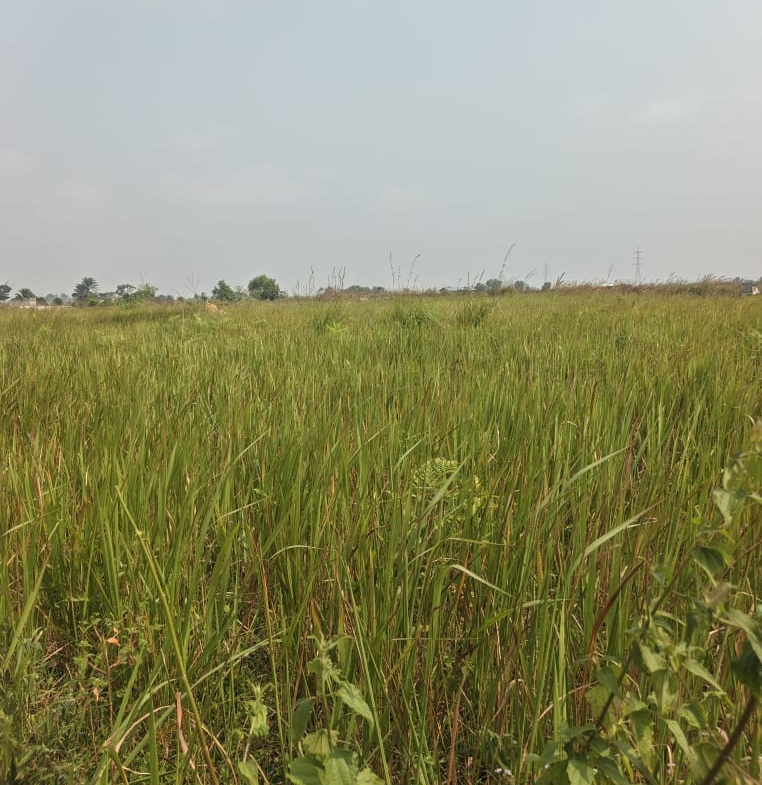 Parcelle-Terrain à Vendre – Maluku, Kinshasa