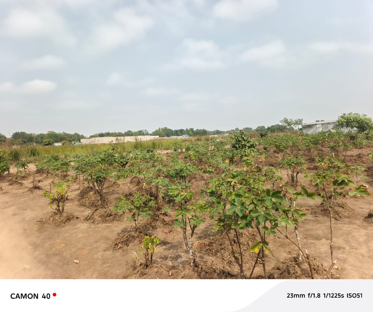 scaled_1006570426 Parcelle-Terrain à Vendre – Maluku, Kinshasa