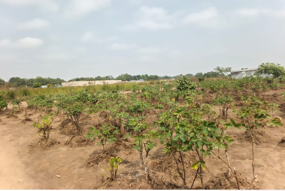 Parcelle-Terrain à Vendre – Maluku, Kinshasa