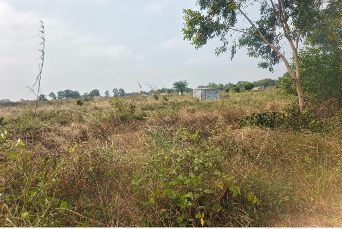 Parcelle-Terrain à Vendre – Maluku, Kinshasa