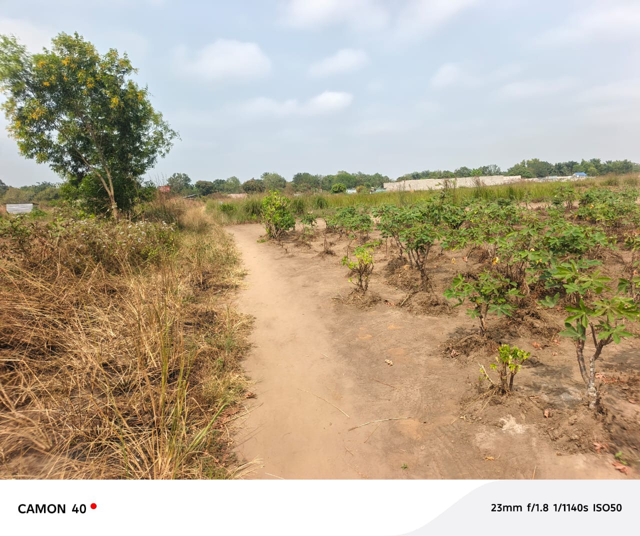 scaled_1006570435 Parcelle-Terrain à Vendre – Maluku, Kinshasa
