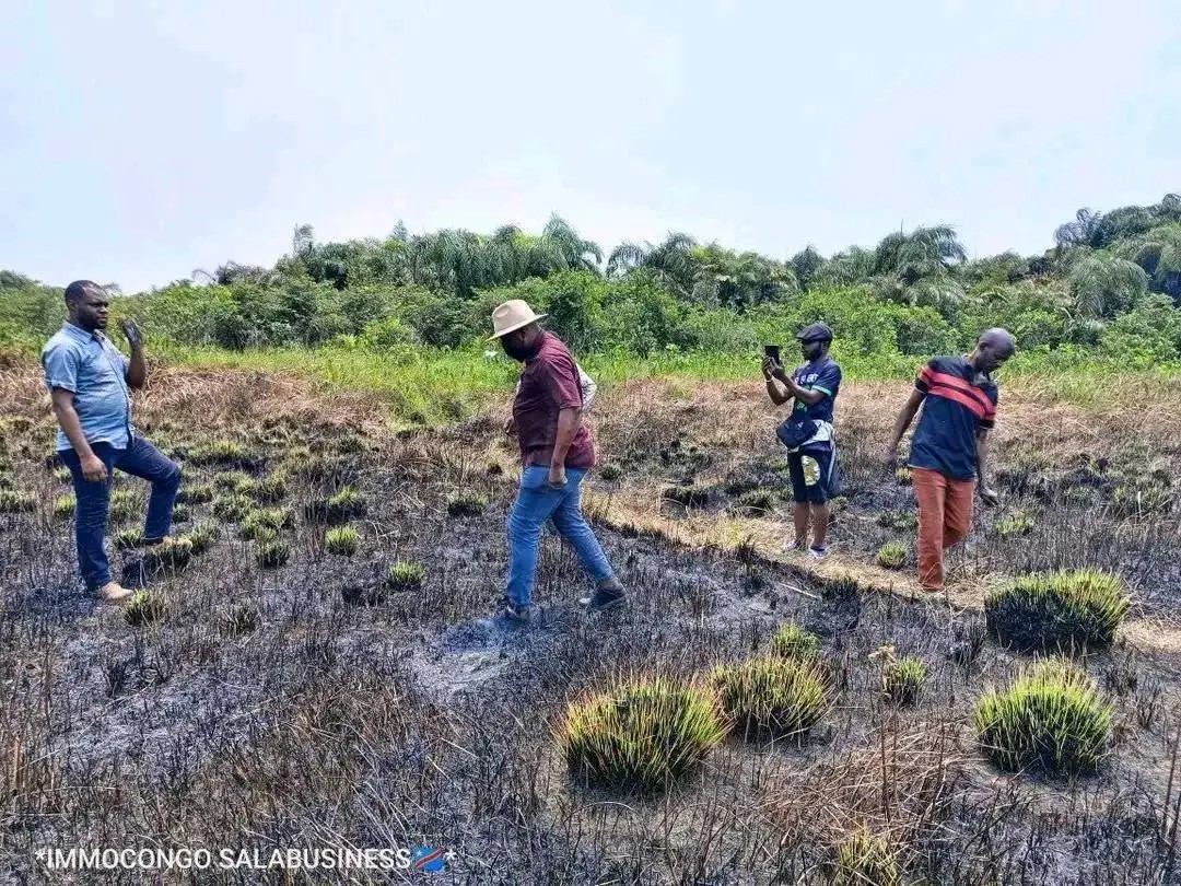 Parcelle-Terrain à Vendre – Maluku, Kinshasa
