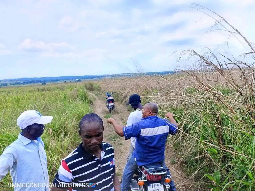 Parcelle-Terrain à Vendre – Maluku, Kinshasa