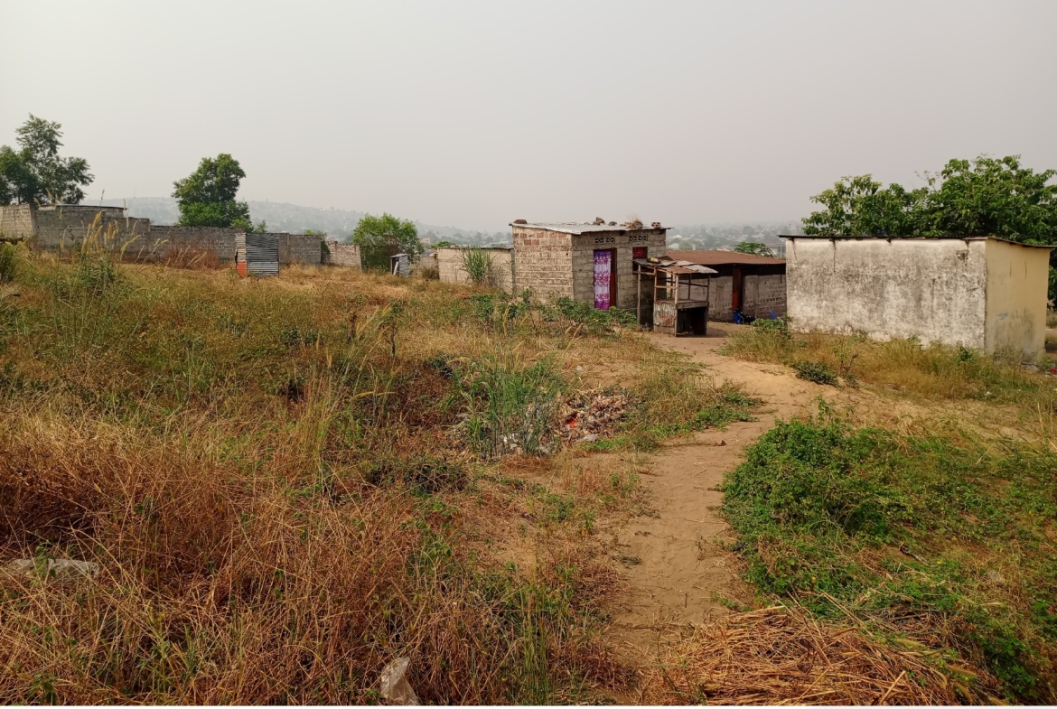 Parcelle-Terrain à Vendre – N’Sele, Kinshasa