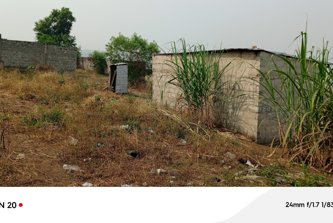 Parcelle-Terrain à Vendre – N’Sele, Kinshasa