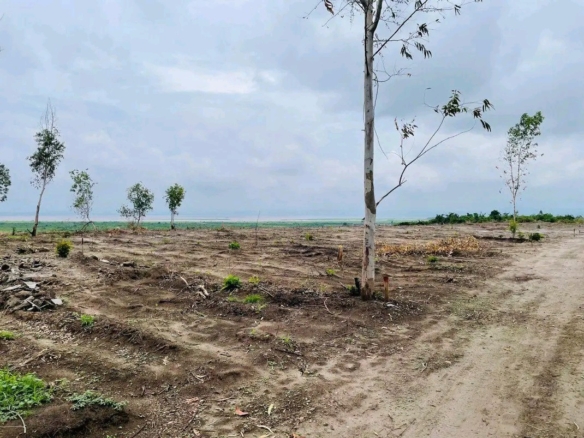 Parcelle-terrain à vendre – n’sele, kinshasa