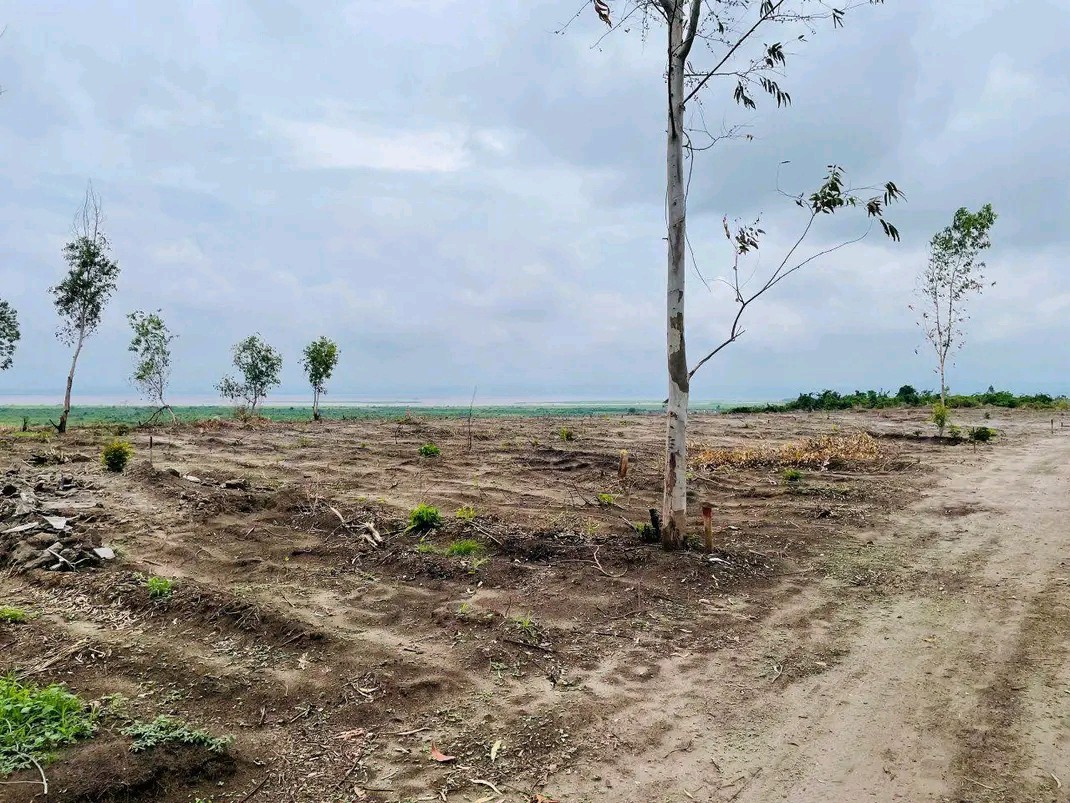 Parcelle-Terrain à Vendre – N’Sele, Kinshasa