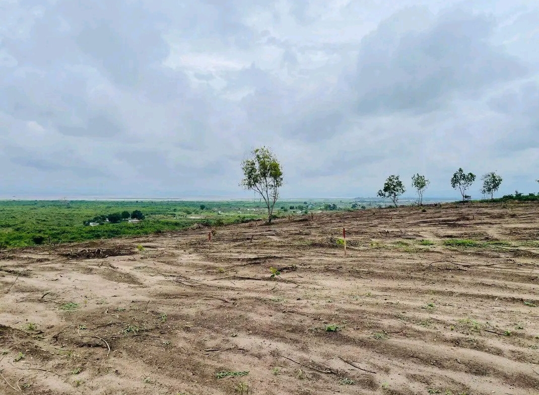 Parcelle-Terrain à Vendre – N’Sele, Kinshasa