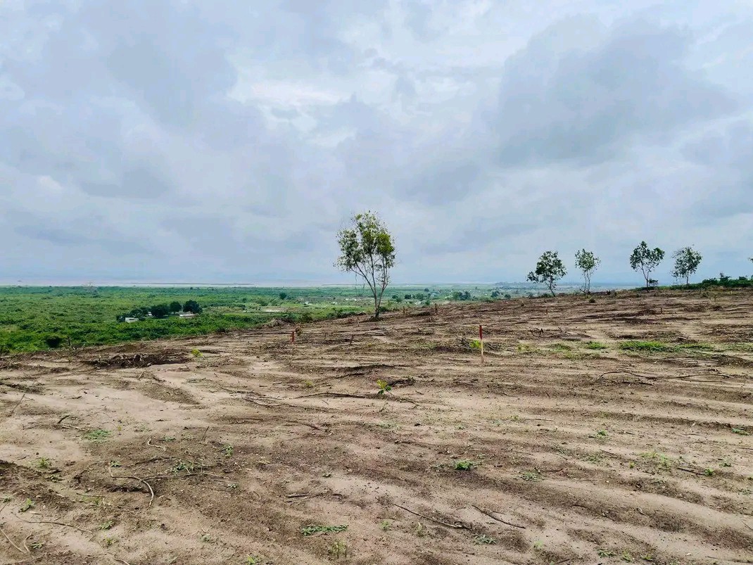 Parcelle-Terrain à Vendre – N’Sele, Kinshasa