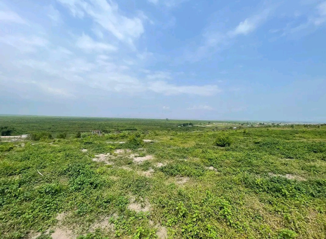 Parcelle-Terrain à Vendre – N’Sele, Kinshasa