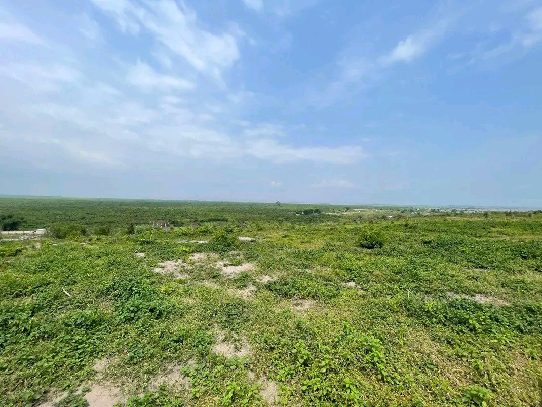 Parcelle-Terrain à Vendre – N’Sele, Kinshasa