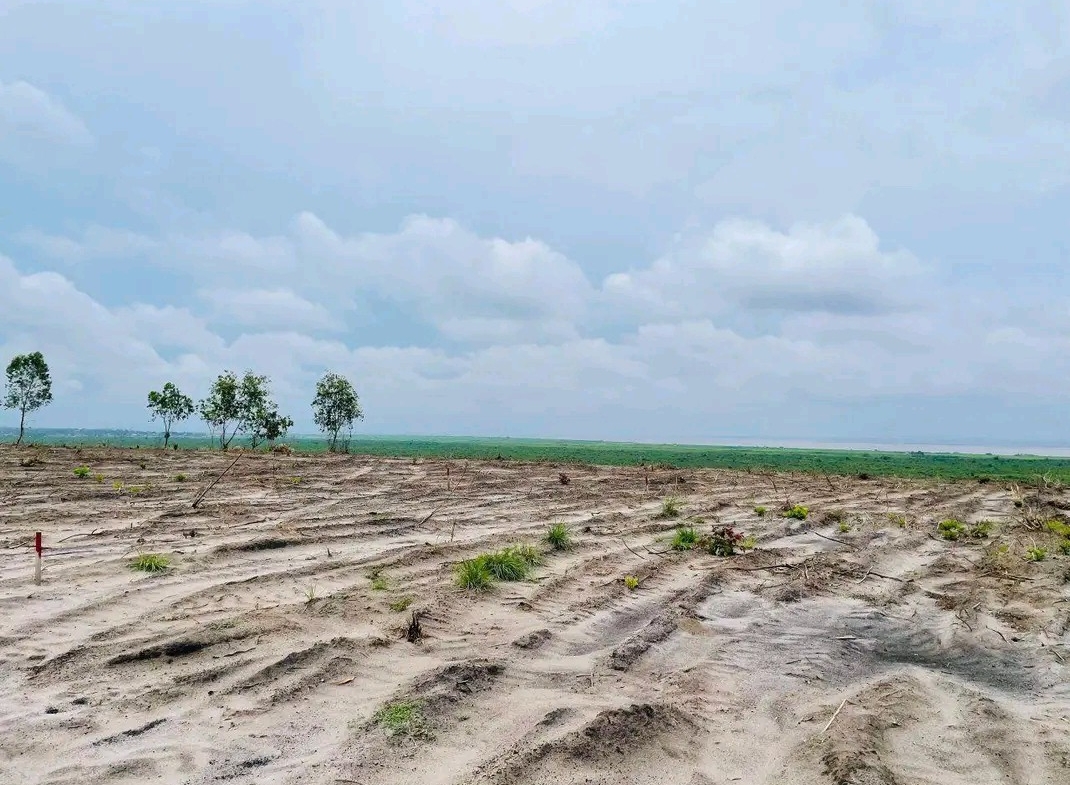 Parcelle-Terrain à Vendre – N’Sele, Kinshasa