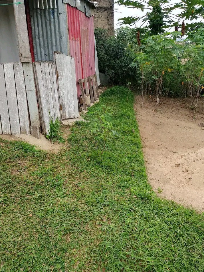 scaled_1006586415 Parcelle-Terrain à Vendre – Mont-Ngafula, Kinshasa