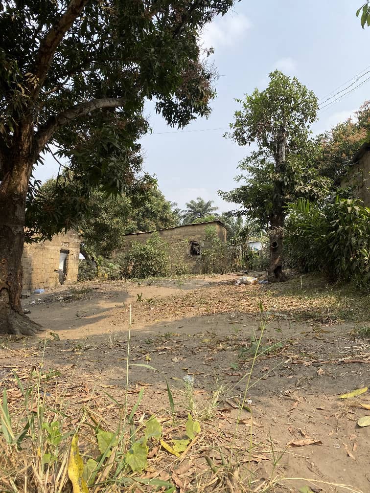TERRAIN VIDE À VENDRE À MONT NGAFULA QUARTIER LEMBA IMBU RÉFÉRENCE ÉGLISE CATHOLIQUE SAINT AMBROISE PRINCE DE LA PAIX