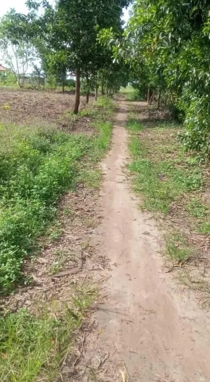 HECTARES À VENDRE DANS LA COMMUNE DE MALUKU VILLAGE BITA QUARTIER KITSINI
