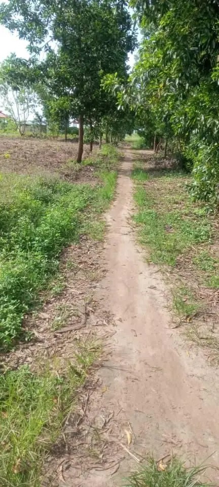 HECTARES À VENDRE DANS LA COMMUNE DE MALUKU VILLAGE BITA QUARTIER KITSINI