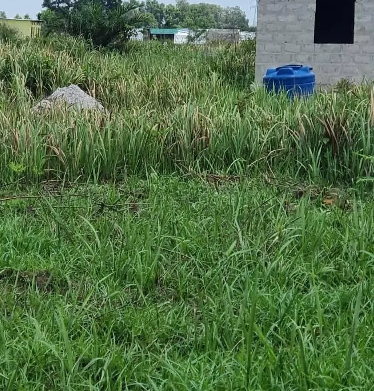 HECTARES À VENDRE DANS LA COMMUNE DE MALUKU VILLAGE BITA QUARTIER KITSINI
