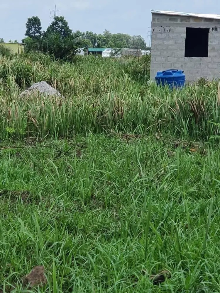 HECTARES À VENDRE DANS LA COMMUNE DE MALUKU VILLAGE BITA QUARTIER KITSINI