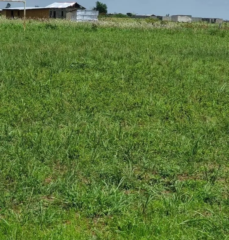HECTARES À VENDRE DANS LA COMMUNE DE MALUKU VILLAGE BITA QUARTIER KITSINI