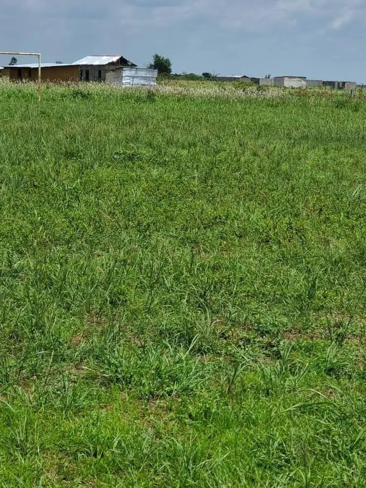 HECTARES À VENDRE DANS LA COMMUNE DE MALUKU VILLAGE BITA QUARTIER KITSINI