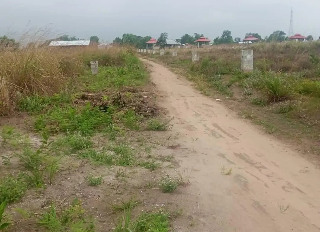 HECTARES À VENDRE DANS LA COMMUNE DE MALUKU VILLAGE BITA QUARTIER KITSINI