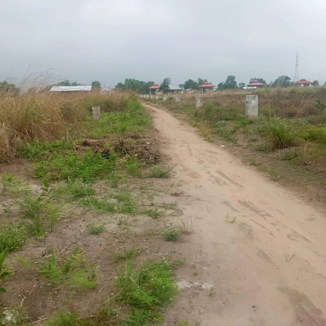 HECTARES À VENDRE DANS LA COMMUNE DE MALUKU VILLAGE BITA QUARTIER KITSINI