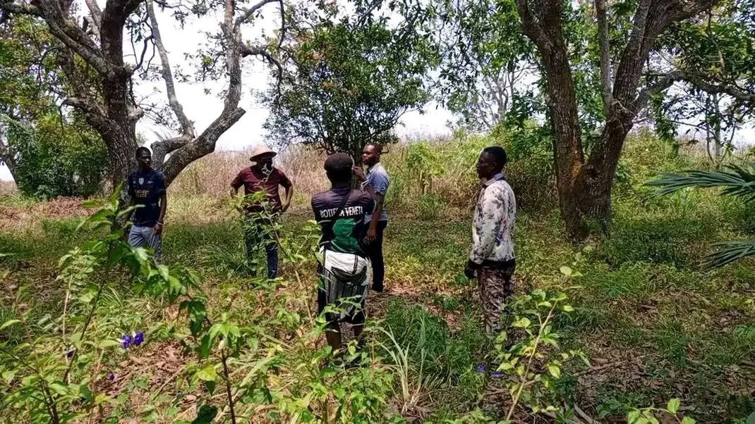 HECTARES À VENDRE DANS LA COMMUNE DE MALUKU VILLAGE BITA QUARTIER KITSINI