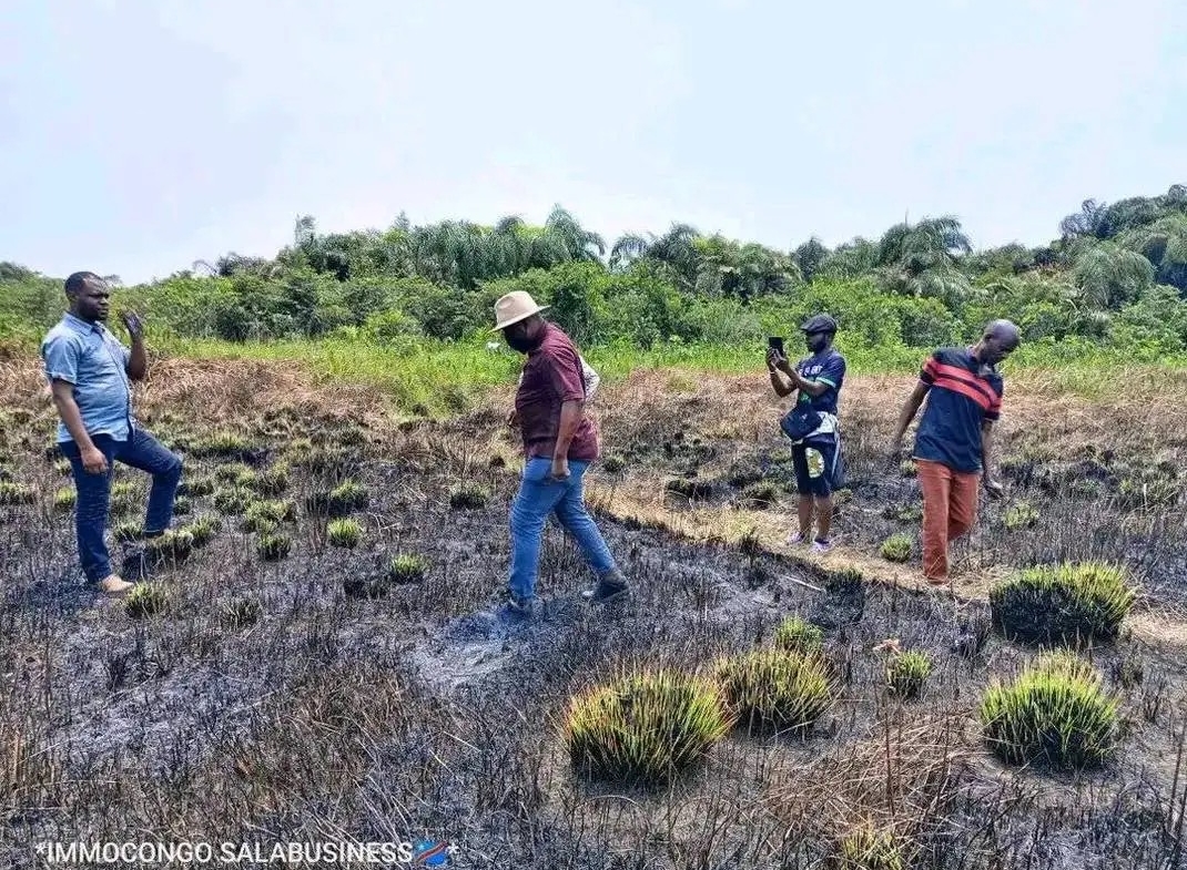 HECTARES À VENDRE DANS LA COMMUNE DE MALUKU VILLAGE BITA QUARTIER KITSINI