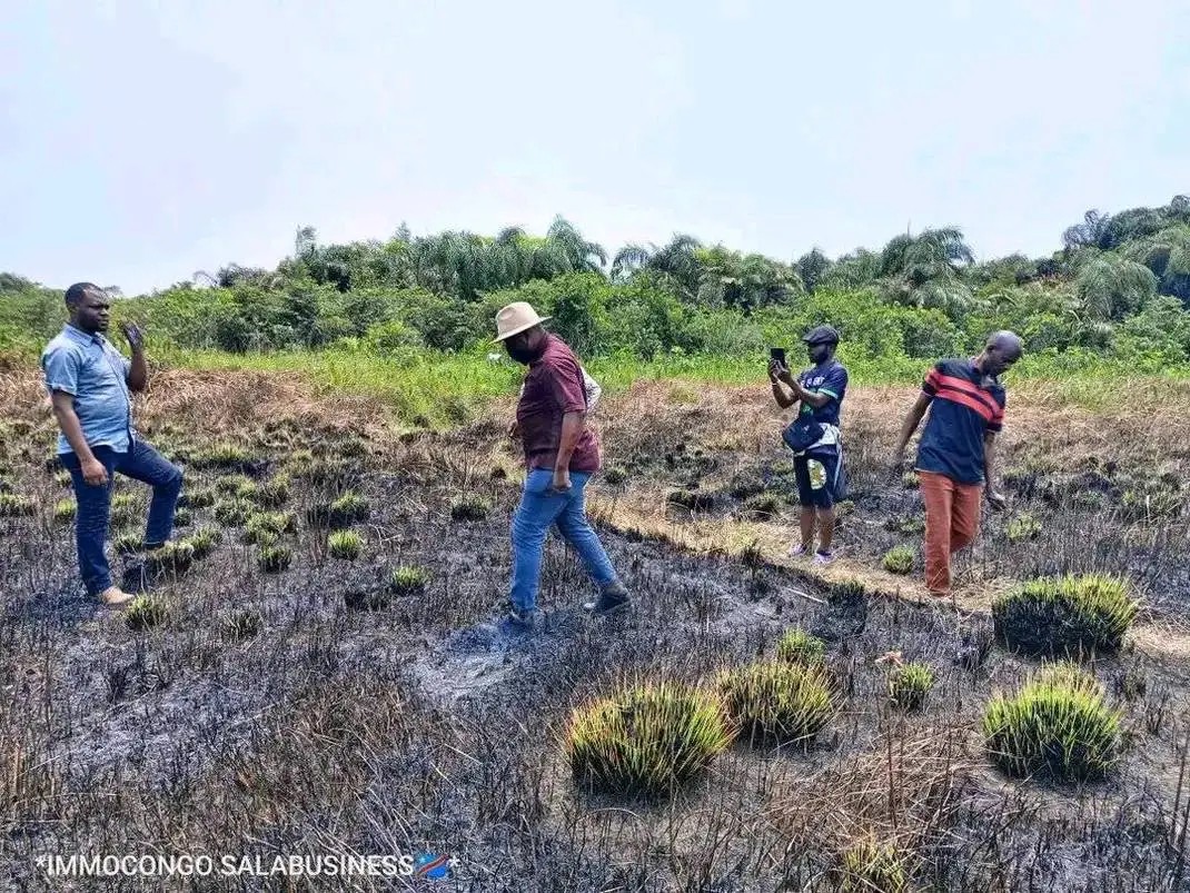 HECTARES À VENDRE DANS LA COMMUNE DE MALUKU VILLAGE BITA QUARTIER KITSINI