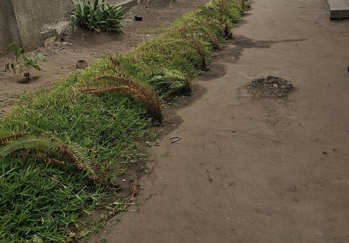 Parcelle-Terrain à Louer – Ngaliema, Kinshasa