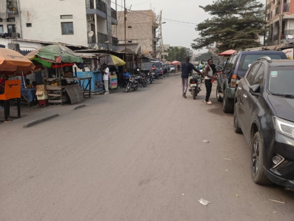 Deux derniers parties issus d’un morcellement d’une parcelle en vente sur macadam à barumbu