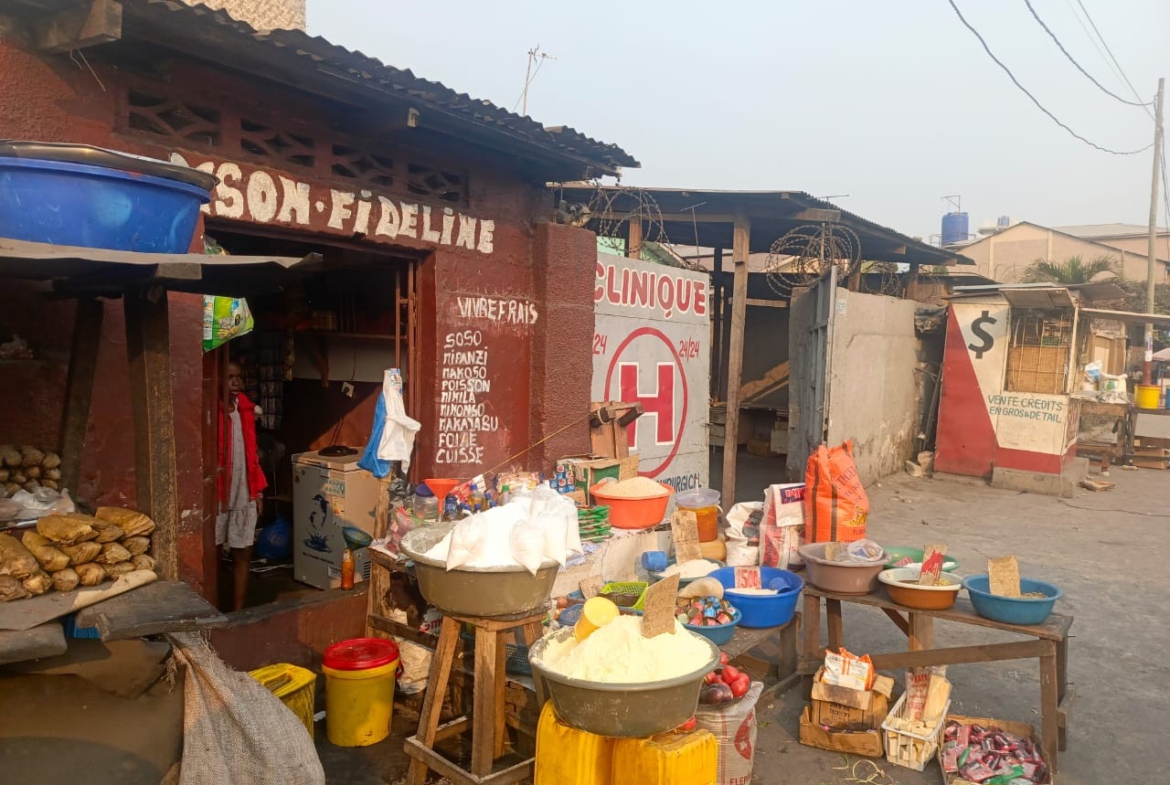 Parcelle à vendre à Barumbu sur macadam