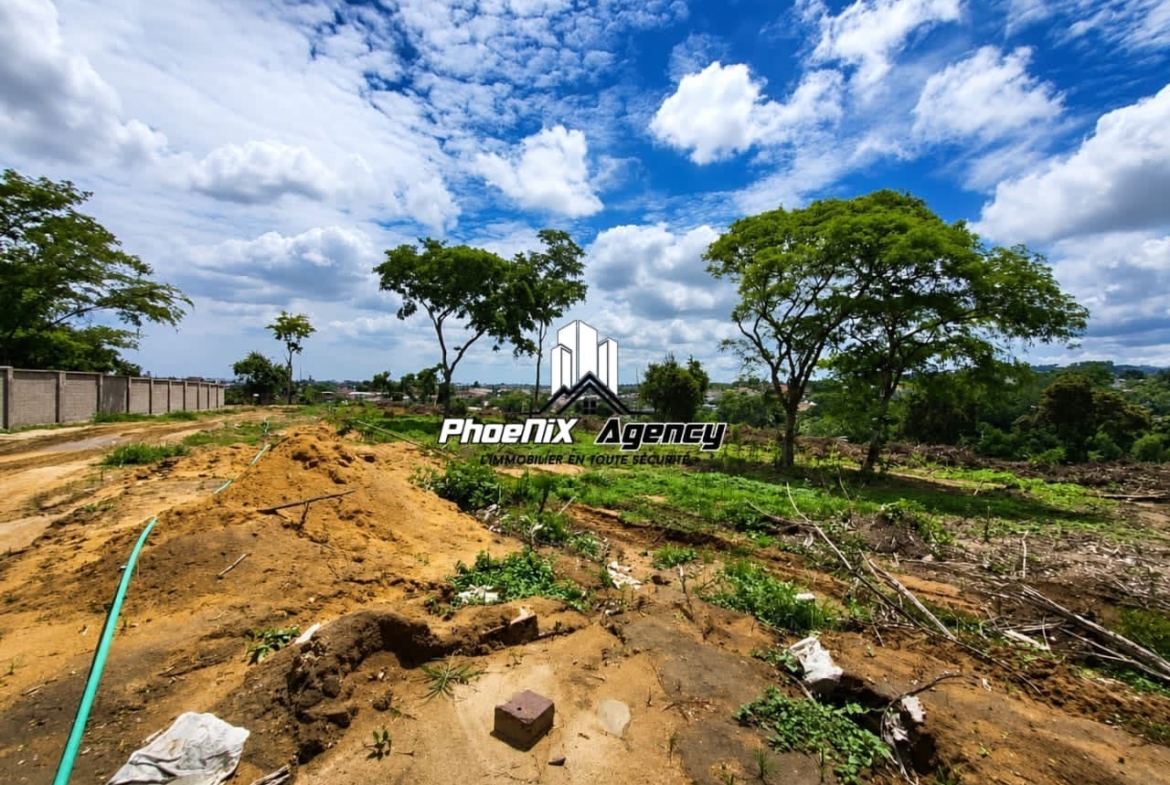 Parcelle-Terrain à Vendre – Ngaliema, Kinshasa