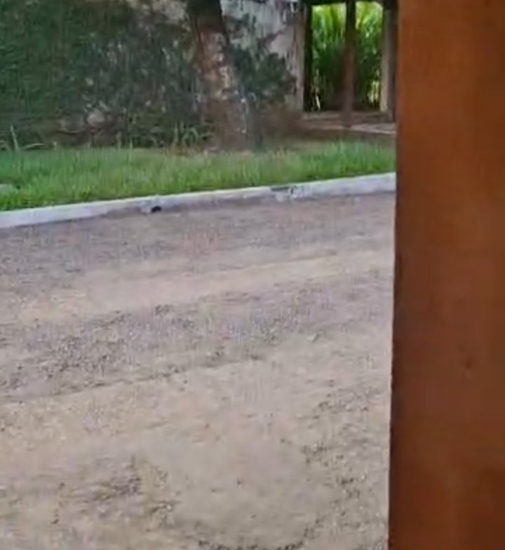 Villa à Vendre – Gombe, Kinshasa